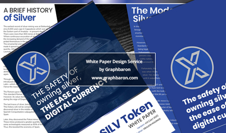 Silver Currency White paper Design, Whitepaper Design, Lead Magnet Design, White paper Designers, Lead Magnet Design Services